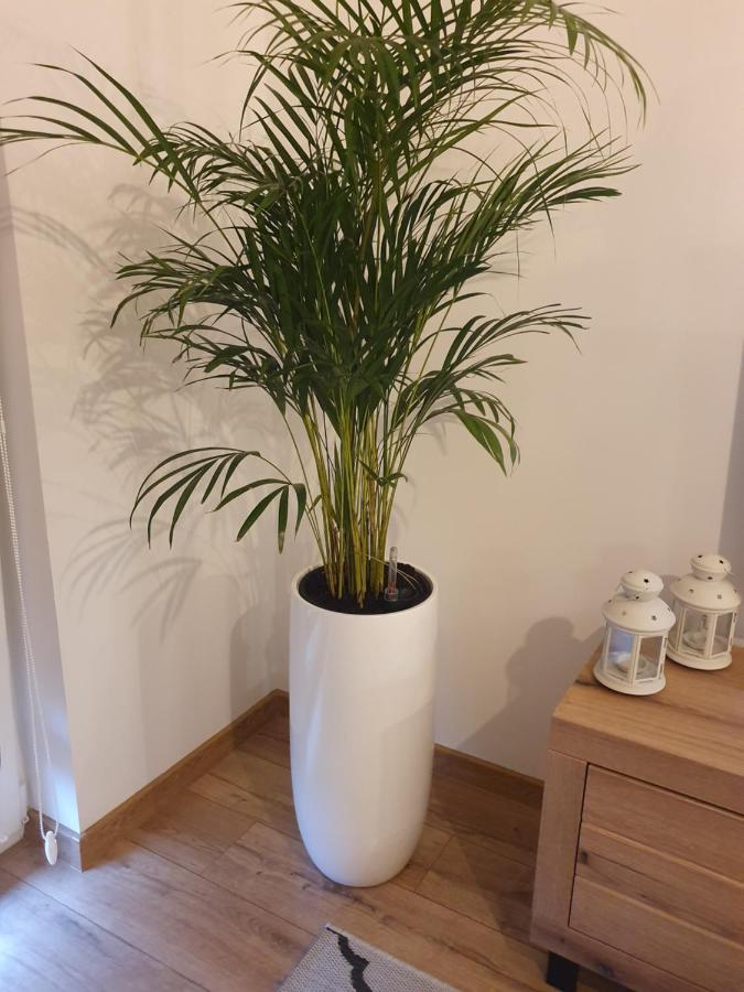 Apartament Number One Nova Wozownia Leszno  Zewnętrze zdjęcie